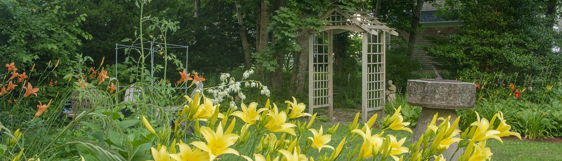 Backyard garden with an arbor, green grass, and lots of yellow and orange flowers