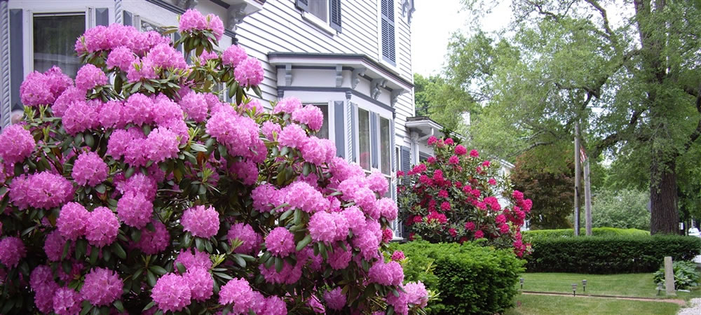 inn with flowers