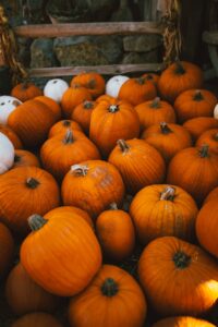 White and orange pumpkins perfect for making jack-o-lanterns