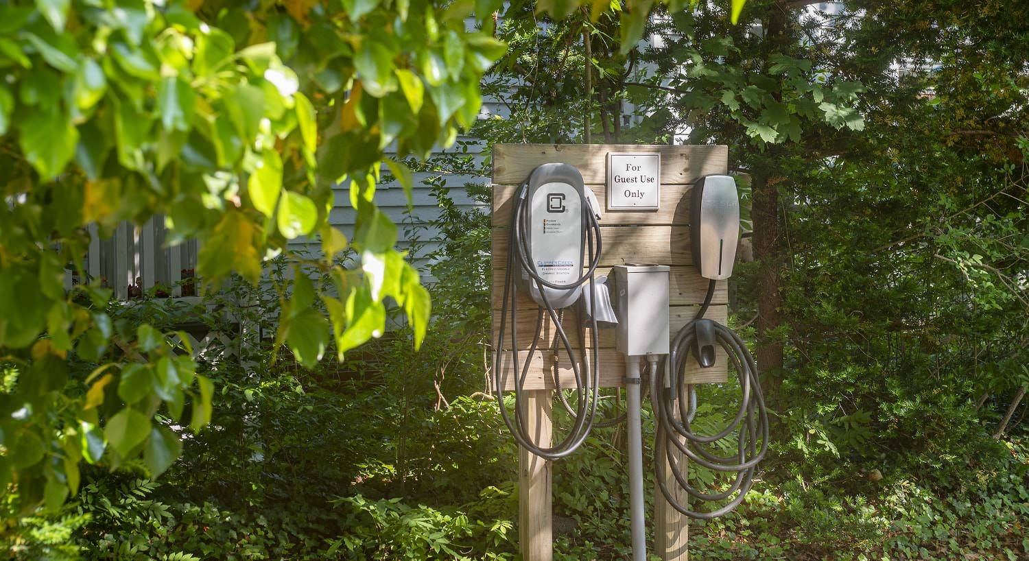 Electric charging station surrounded by green trees and bushes